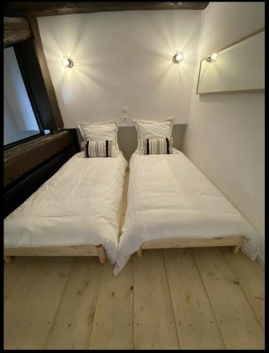 two beds sitting next to each other in a room at Appartement moderne proche de tout et parking gratuit in Lattes