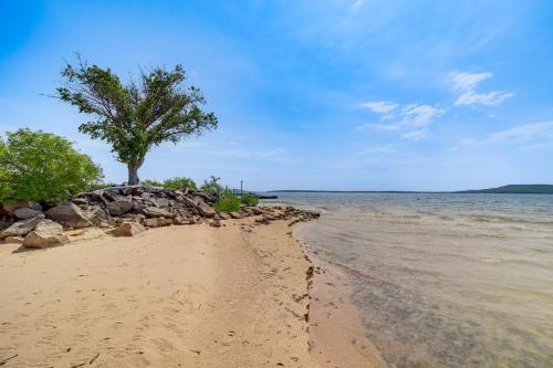 a sandy beach with a tree and the water at Lakefront Eufaula Escape with Dock and Private Beach! in Eufaula