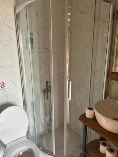 a bathroom with a shower and a toilet and a sink at Villa Old House BN in Bitola