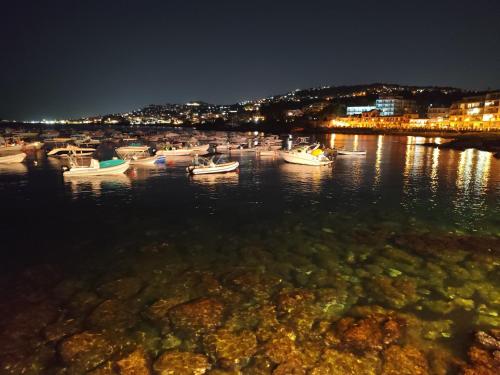 Φυσικό τοπίο κοντά σε αυτό το διαμέρισμα
