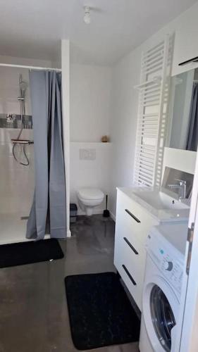 une salle de bain avec une machine à laver et un lavabo dans l'établissement maison de caractère la petite madeleine, à Saint-Laurent