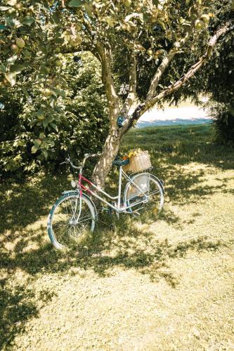 Taman di luar Ferienwohnungen CASA TAMALTIO am Moselradweg - Nähe Trier und Luxemburg