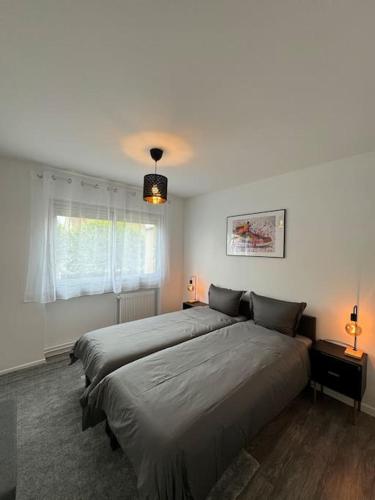 une chambre avec deux lits et une fenêtre dans l'établissement Magnifique Appartement, à Saint-Maur-des-Fossés
