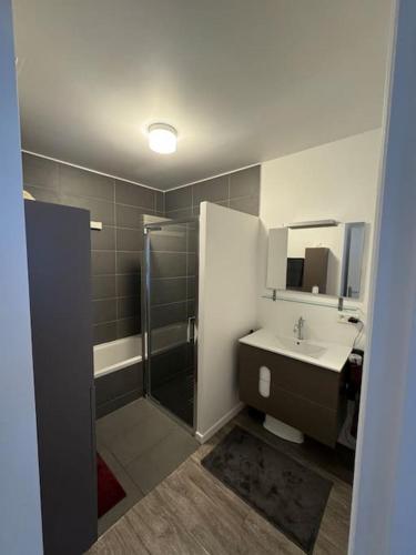 une salle de bain avec douche et lavabo dans l'établissement Magnifique Appartement, à Saint-Maur-des-Fossés
