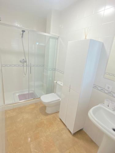 a bathroom with a shower and a toilet and a sink at Loft Madueño de los Aires in Alcalá de Guadaira