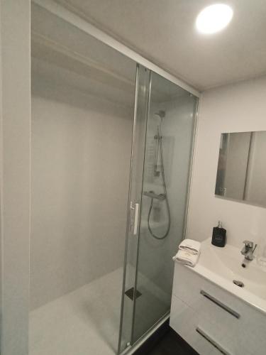 une salle de bain avec douche et lavabo dans l'établissement Le SPArt un jacuzzi une salle de sport un appartement entièrement équipée pour votre bien être, à Paulhac