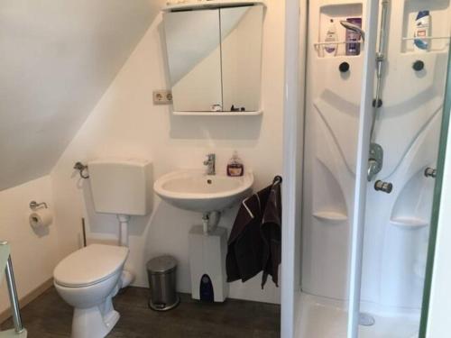 a small bathroom with a toilet and a sink at Modernes 65qm Dachstudio im alten Bauernhaus - perfekt für Wandern Bikes Feiern in Erkenbrechtsweiler