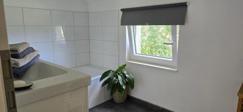 Kuchyň nebo kuchyňský kout v ubytování Maison des voisins