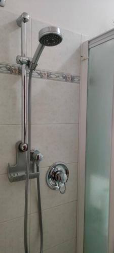 a shower with a shower head in a bathroom at Appartamento Rialdoli in Scandicci