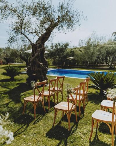 Kolam renang di atau dekat dengan OLIVE QUEEN Rustic Estate