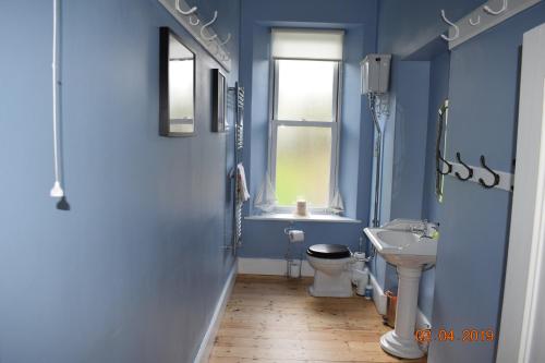 a blue bathroom with a toilet and a sink at Quilly Farm House - North Coast - Entire House, near Castlerock, Coleraine, Beach walks, countrywalks, golf courses in Articlave
