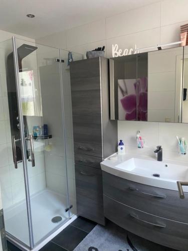 a bathroom with a shower and a sink and a shower at Pension an den Weinbergen in Bad Schmiedeberg