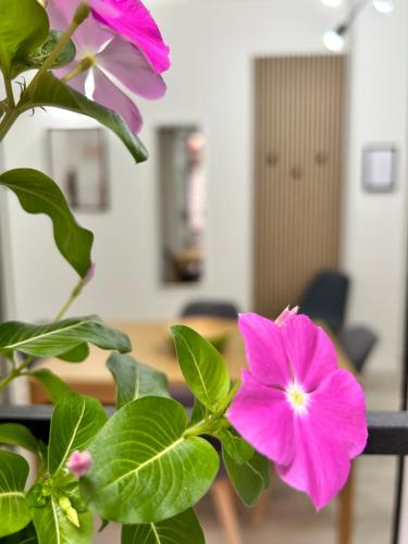 a pink flower on a plant in an office at TEZONE SEVEN Apartments in Verona