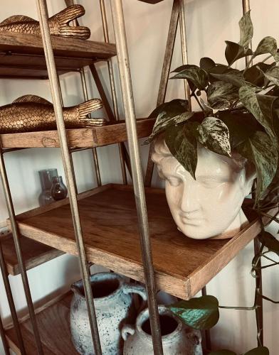 a plant in a white vase on a shelf at המייסדים in Zikhron Ya‘aqov