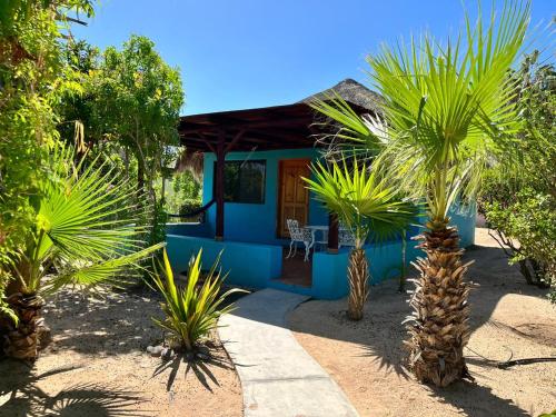 a blue house with palm trees in front of it at Cabo Pulmo Beach Resort in Cabo Pulmo