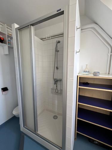 une douche avec une porte vitrée dans une salle de bain dans l'établissement Studio Artiste Paris, à Paris