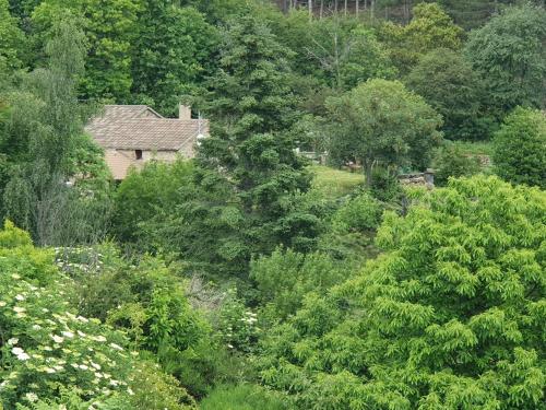 a house in the middle of a forest of trees at Gite de la Maisonnette in Malarce-sur-la-Thines
