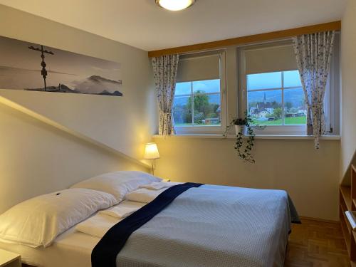 a bedroom with a bed and two windows at Landhaus Klopein in Sankt Kanzian