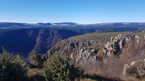 a view of a canyon with trees and rocks at Gite de la Maisonnette in Malarce-sur-la-Thines