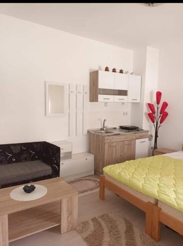 a living room with a bed and a kitchen at Apartman Djordjevic in Vranje