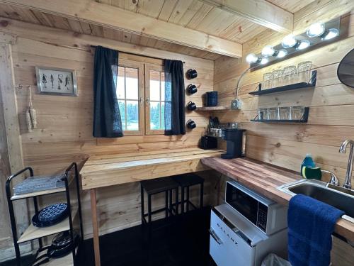 a kitchen in a tiny house with a counter and a sink at Twin Cabins-Trout and Grayling in Cantwell