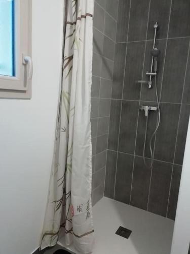 La salle de bains est pourvue d'une douche avec un rideau de douche blanc. dans l'établissement 5a Puypérier, à Friaudour