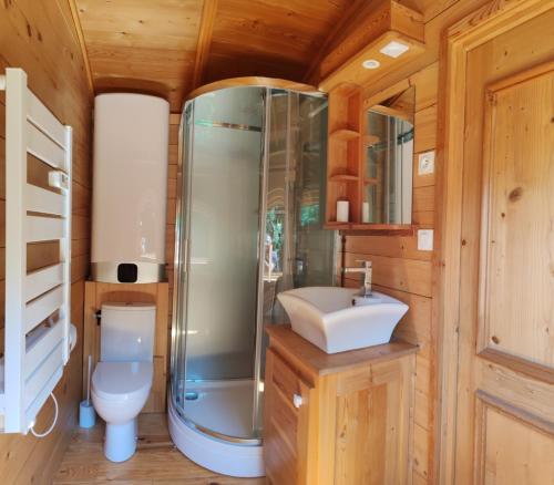 une salle de bain avec une douche, des toilettes et un lavabo dans l'établissement Gîte insolite en Champagne - Roulotte des Cahouriaux, à Nanteuil-la-Fosse