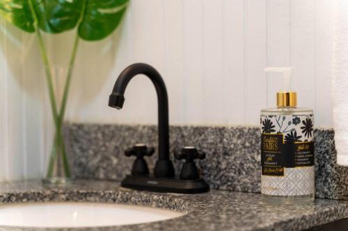 a sink with a faucet and a bottle of soap at Bohemian Retreat Sleeps 6, two miles from Broadway! in Nashville