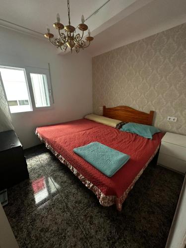 Gallery image of Holiday in Torrevieja