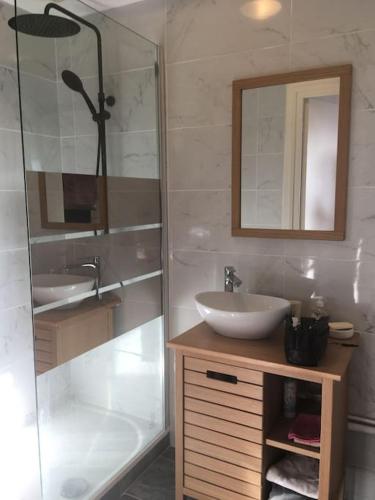 une salle de bain avec un lavabo, une douche et un miroir dans l'établissement Appartement en Rez de jardin climatisée 2 pièces-cuisine avec terrasse et jardin, à Sainte-Foy-lès-Lyon