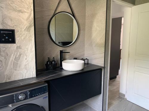 une salle de bain avec un lavabo et un miroir dans l'établissement Appartement Cagnes sur mer, à Villeneuve-Loubet