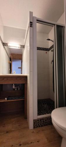 Photo de la galerie de l'établissement Résidence Le France - Studio 2 personnes Plagne Centre MAE-2774, à Aime La Plagne