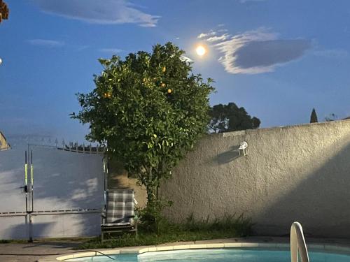 un oranger à côté d'une clôture et d'une piscine dans l'établissement Appartement bouvreuil, à Fos-sur-Mer
