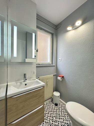 une salle de bain avec un lavabo et des toilettes dans l'établissement 2 pièces cathédrale proche des quais strasbourg, à Strasbourg