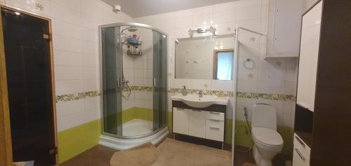 a bathroom with a shower and a toilet and a sink at Cozy house with sauna and terrace in Narva-Jõesuu