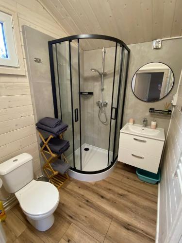 a bathroom with a shower and a toilet and a sink at Mużakowski Zakątek in Nowe Czaple