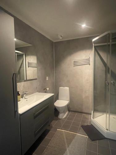 a bathroom with a toilet and a sink and a shower at Leilighet midt i sentrum av vakre Hattfjelldal in Hattfjelldal