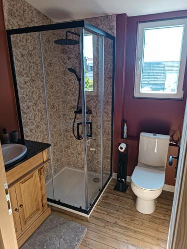 une salle de bain avec une douche avec des toilettes et un lavabo dans l'établissement Chambre spacieuse et confortable 1, à Graville