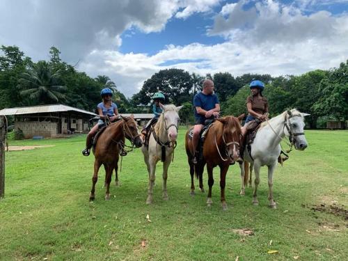 a group of people riding horses in a field at Caribbean Shores Belize in Hopkins