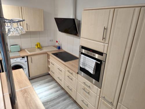 a kitchen with a sink and a stove top oven at Cocon Zeitz in Zeitz