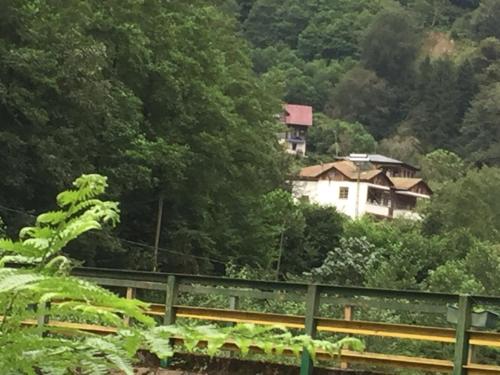 Landskap semula jadi dekat dengan apartmen