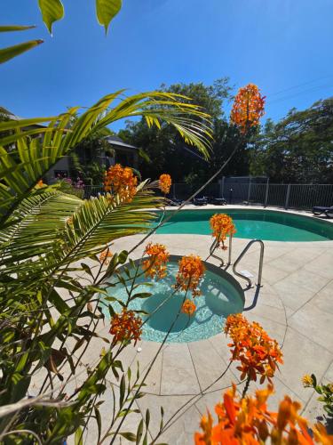 a small swimming pool with orange flowers in it at Noosa River Retreat Holiday Apartments in Noosaville