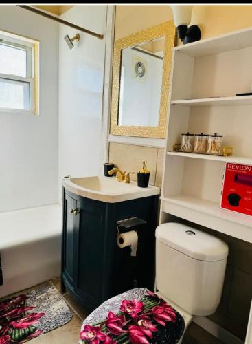 a bathroom with a toilet and a sink and a mirror at Beautiful 3 bed room apartment in Buffalo