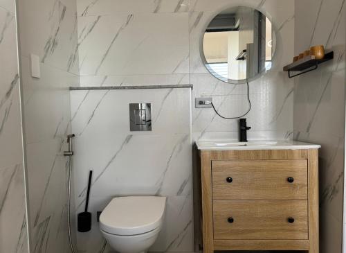 a bathroom with a toilet and a sink and a mirror at 安平胡桃民宿-公園景觀泡腳池-免費停車-專屬電梯-烤肉租借 in Tainan