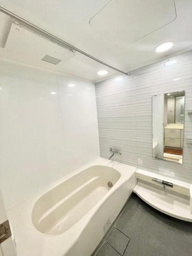 Higashi-Shinjuku apartment