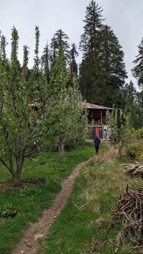 a person walking down a dirt road in a field at Holy Cow Café & Beds in Kalgha