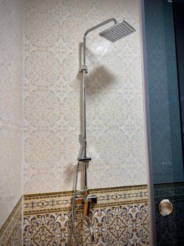 a shower in a bathroom with a wall at MERITON Boutique in Bukhara