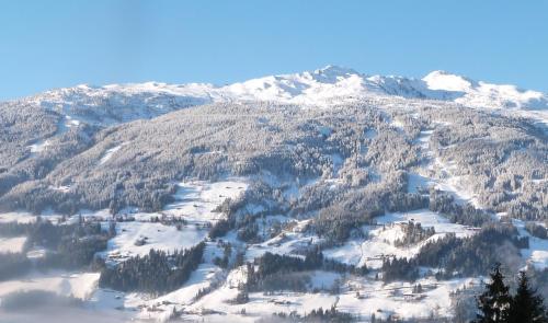 a mountain covered in snow with trees on it at Haus Margret in Stummerberg