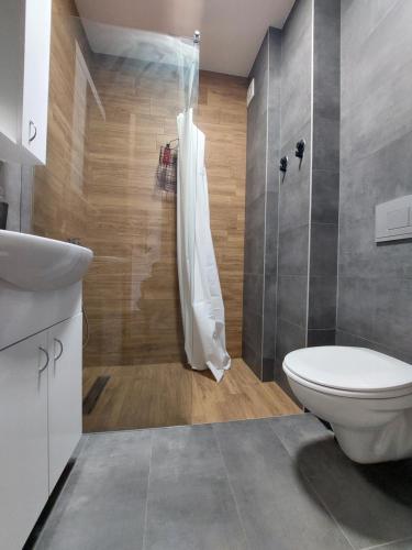 ソコバニャにあるLion apartmanのトイレとシャワー付きのバスルーム