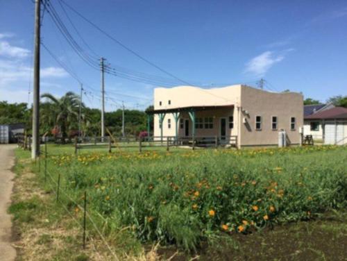 a field of flowers in front of a building at SAUNA Villaサンタフェリゾート富津 in Minato